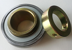 INA Bearing 